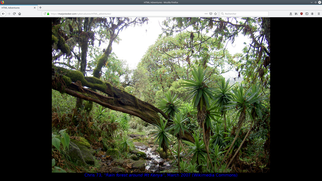 Capture d'écran de la cybercabane HTML Adventures, qui propose d'explorer une image via un lecteur d'écran (image d'un paysage de jungle)