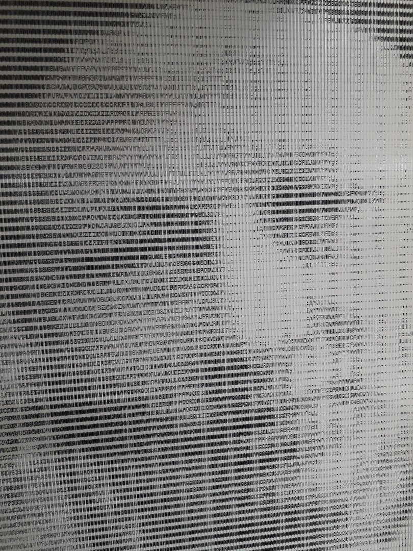 Image 13 : Détail d'un portrait ASCII