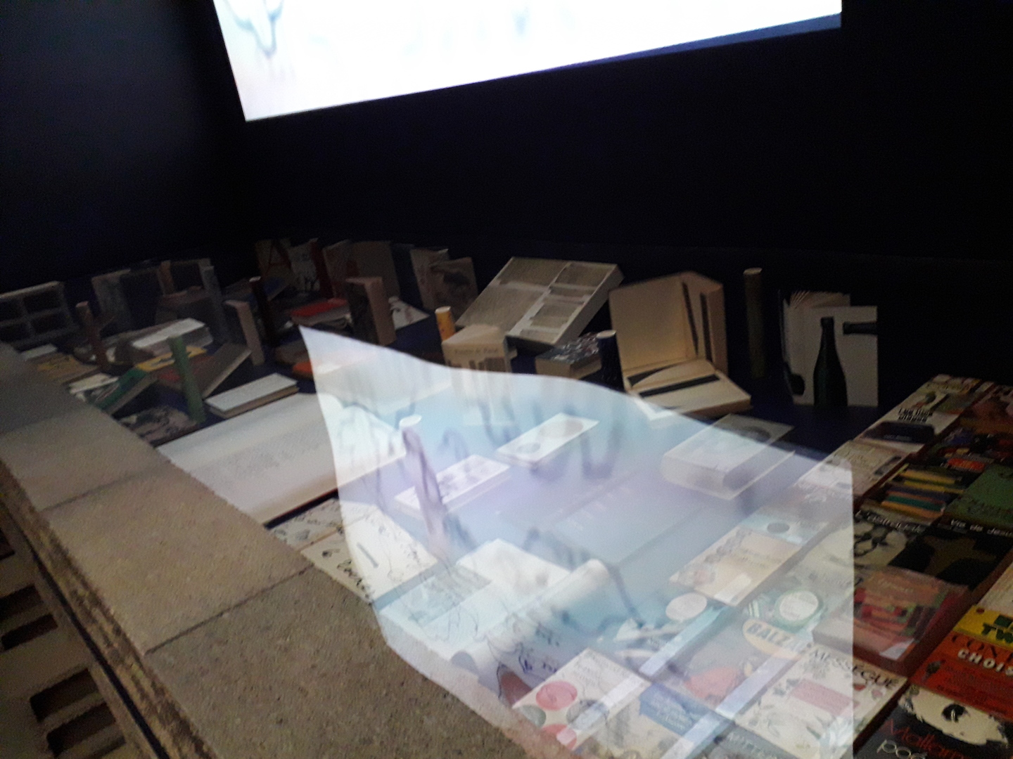 Image 38 : Installation avec livres et projections (vue 2)