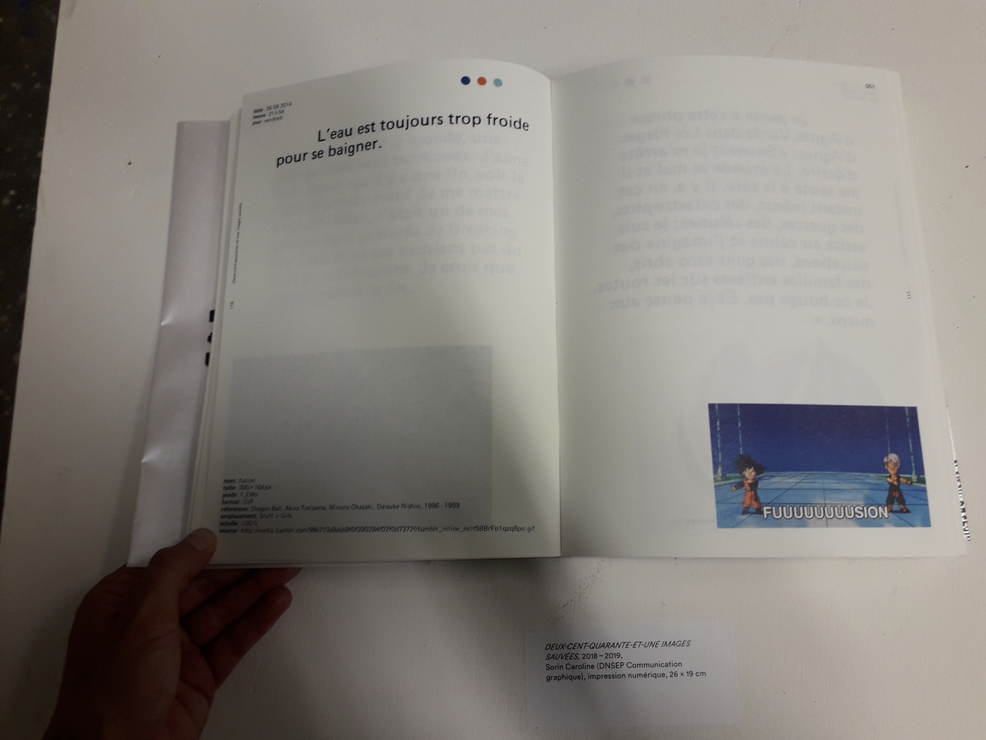 Image 21 : Double page d'un livret avec un texte et une image de manga