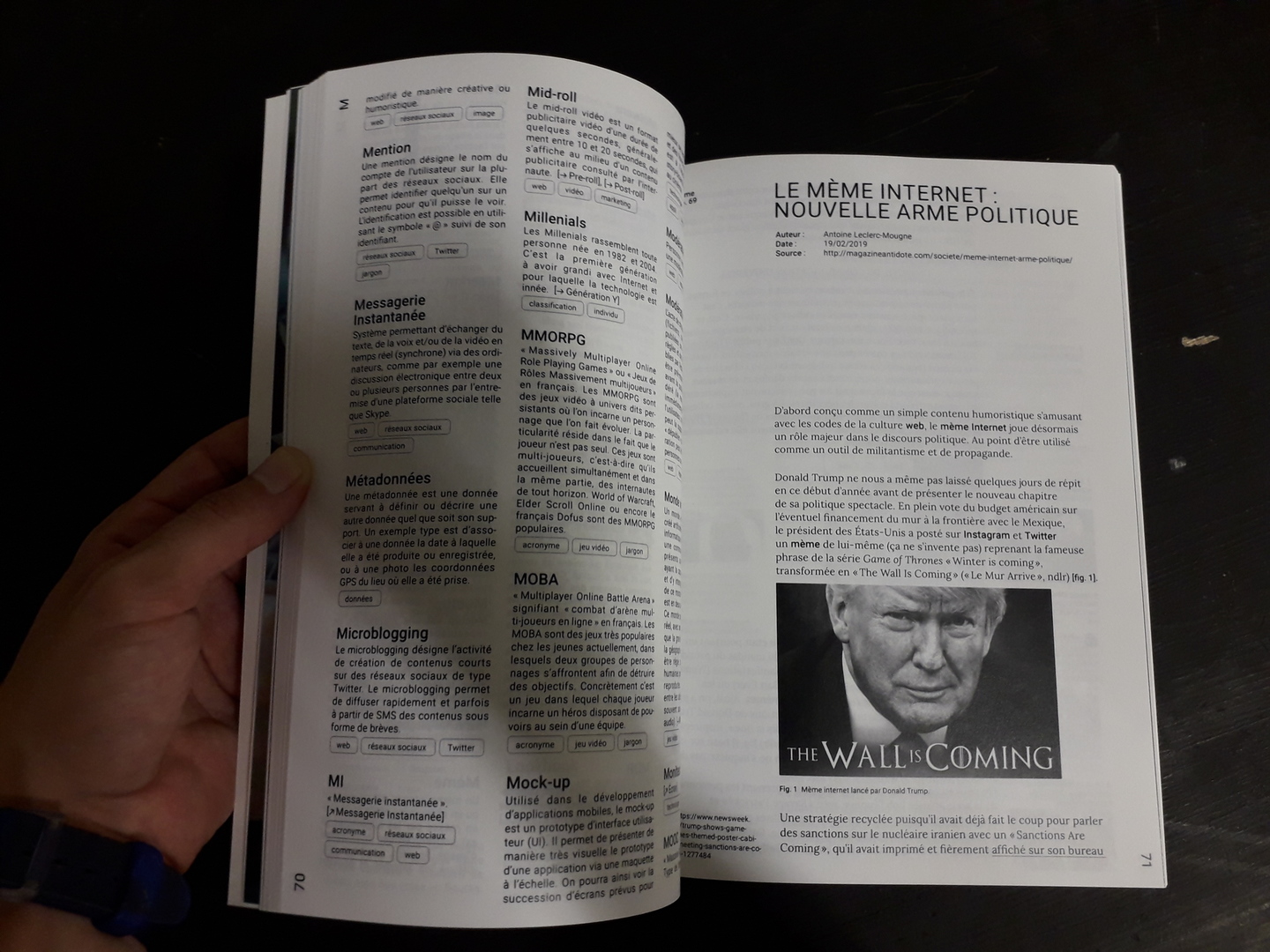 Image 30 : Double page avec texte et meme The Wall is Coming à l'effigie de Donald Trump