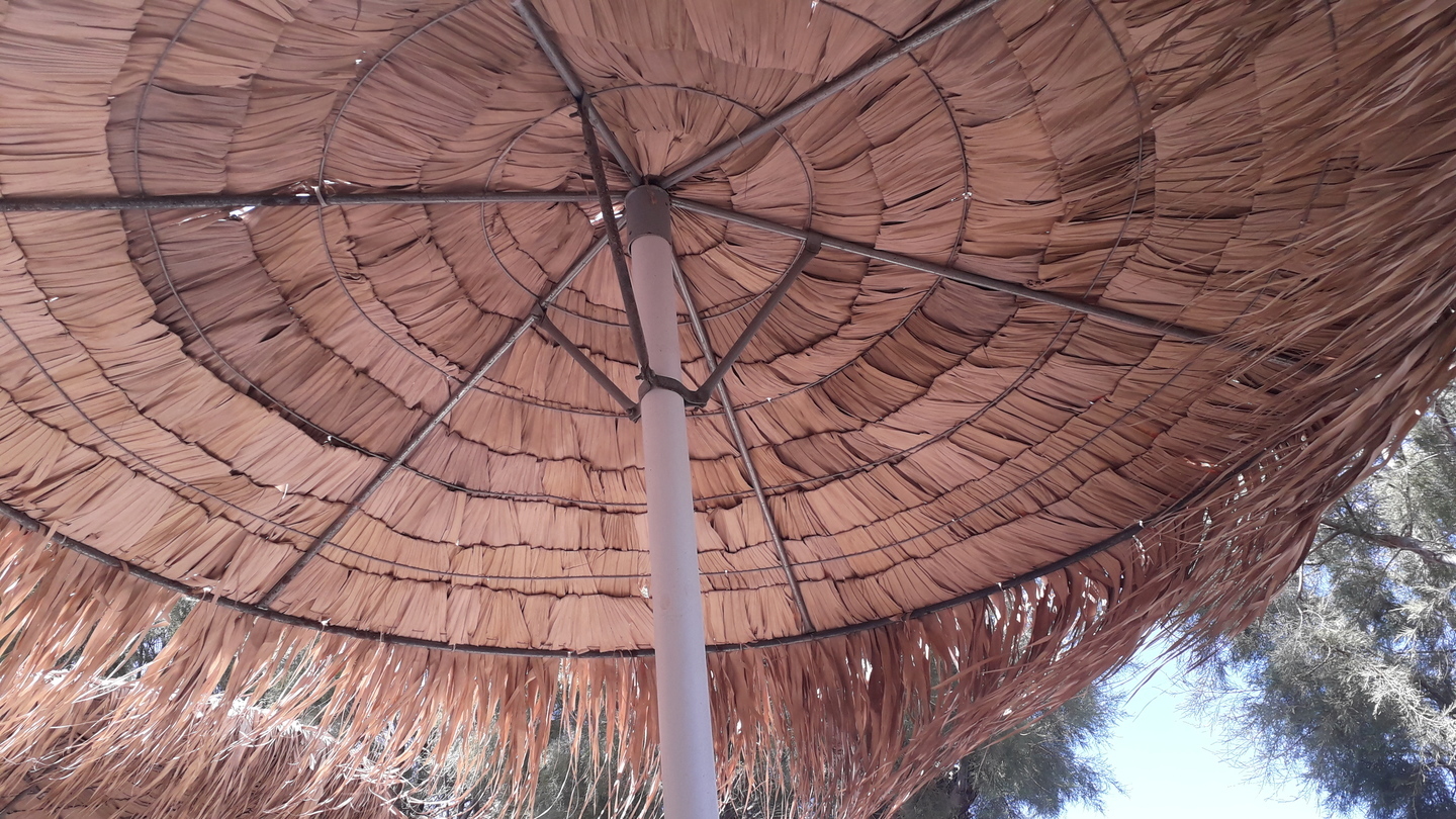 Image 71 : Vue de dessous d'un parasol en fibre