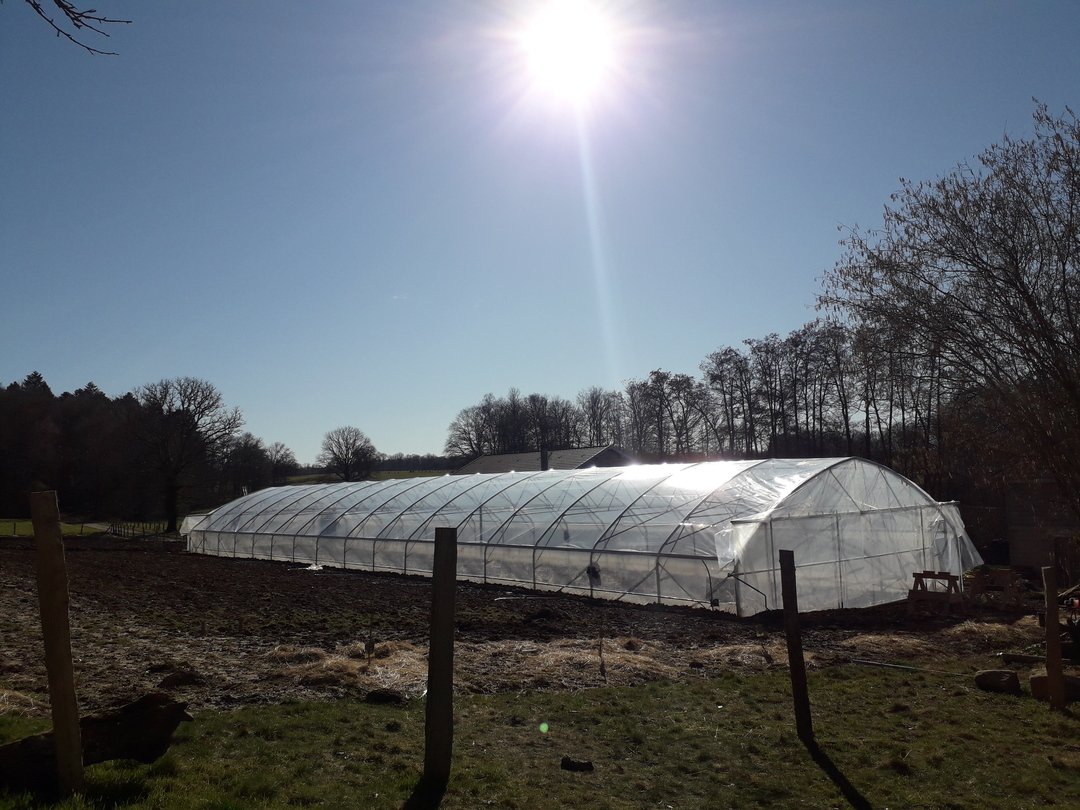 On-site photograph of the greenhouse under the sun
