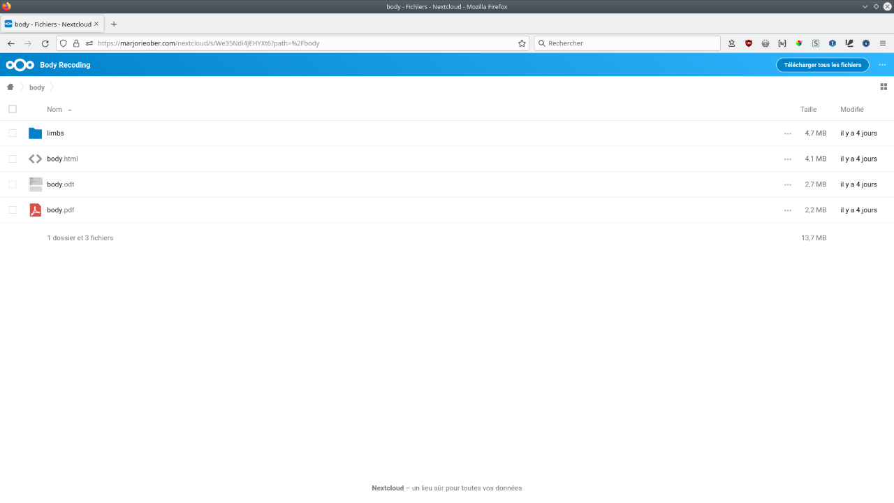 Capture du répertoire Nextcloud dedié au texte et à ses différentes parties et formats