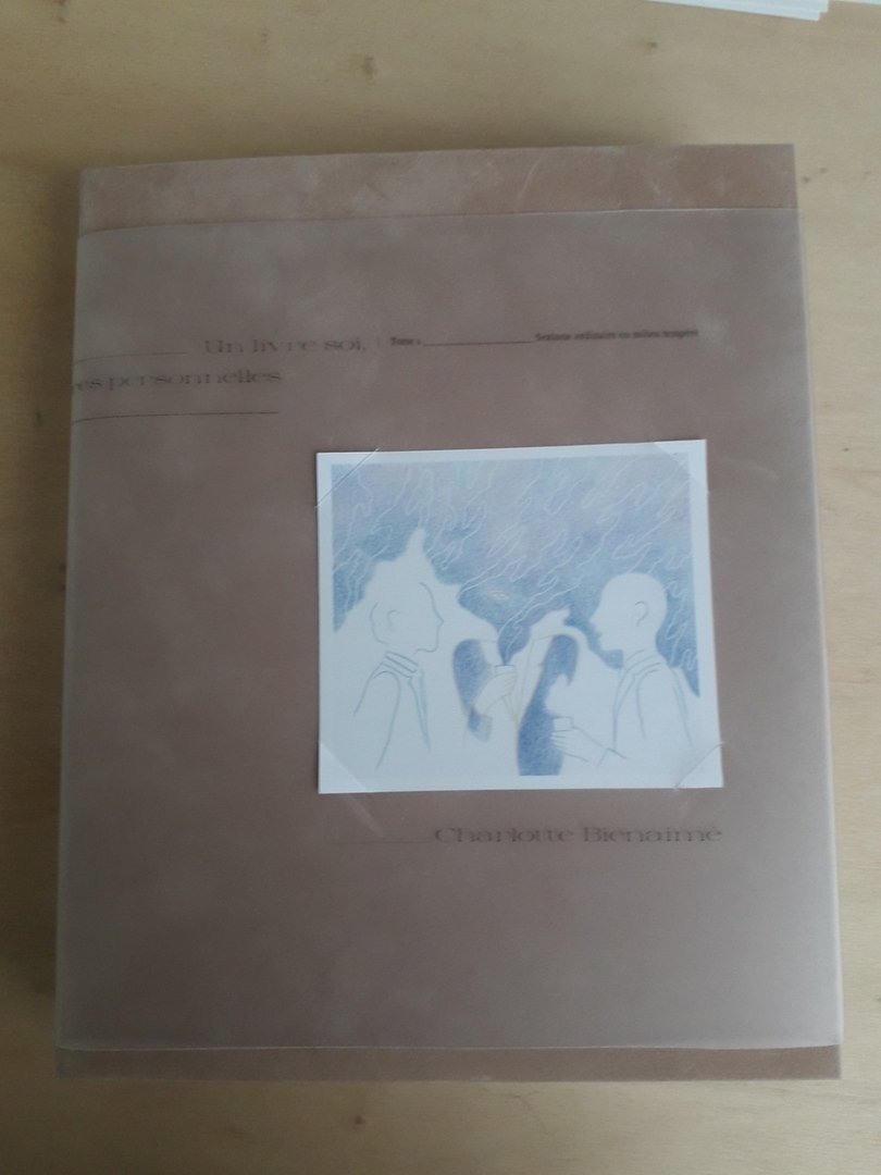 Image 48 : Couverture d'un livre titré Un livre soi avec un dessin de personnages en bleu et blanc et du papier calque