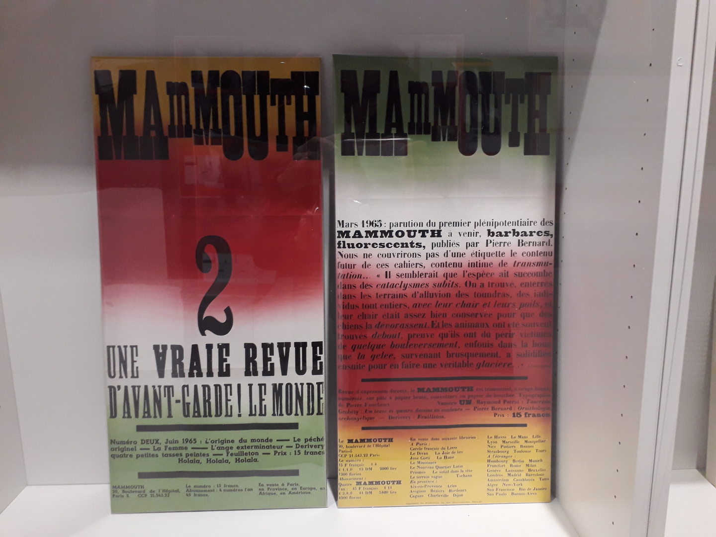 Couvertures de deux revues avec jaune, rouge et vert intitulées MAmMouth