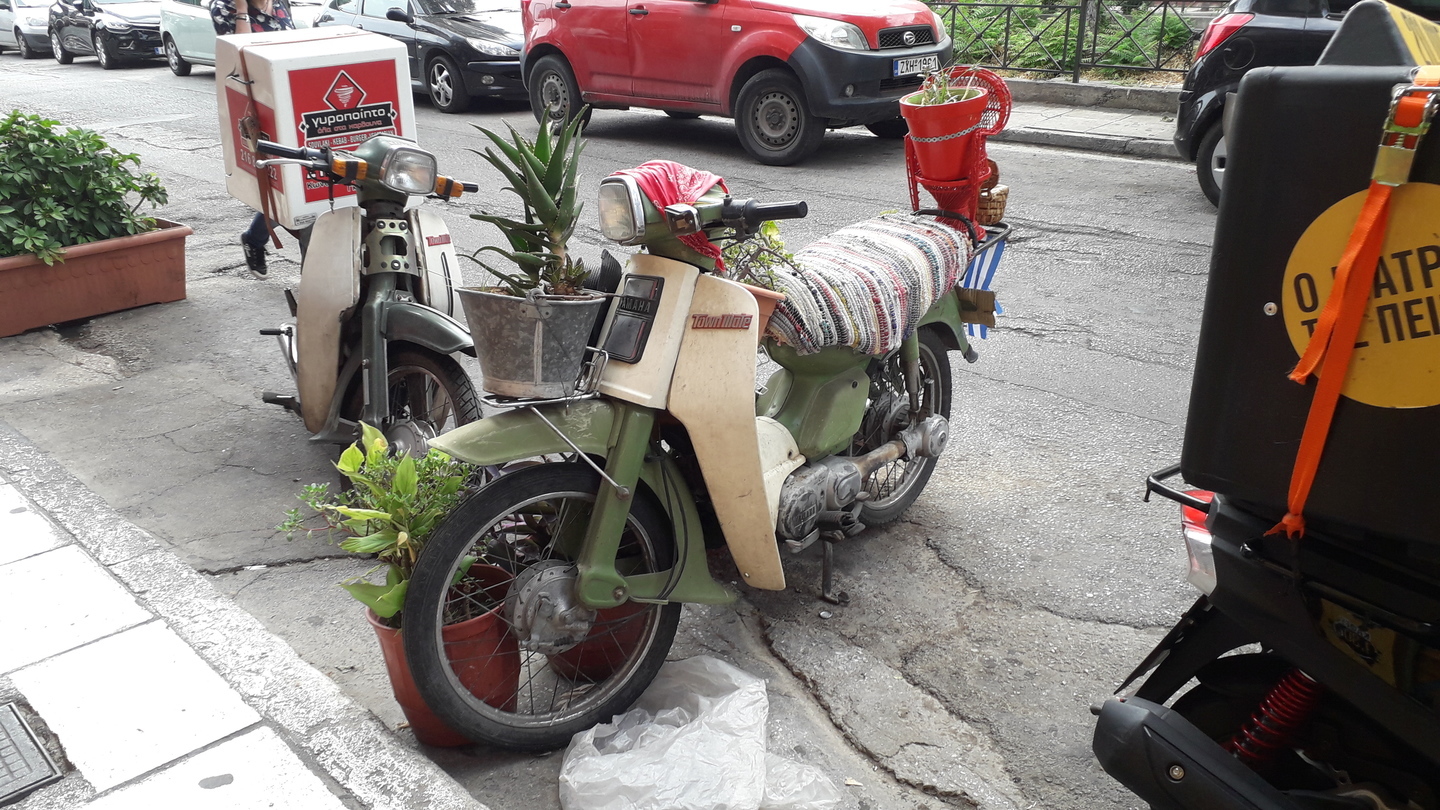 Image 47 : Moto avec pots de fleur et recouvrements de tissus