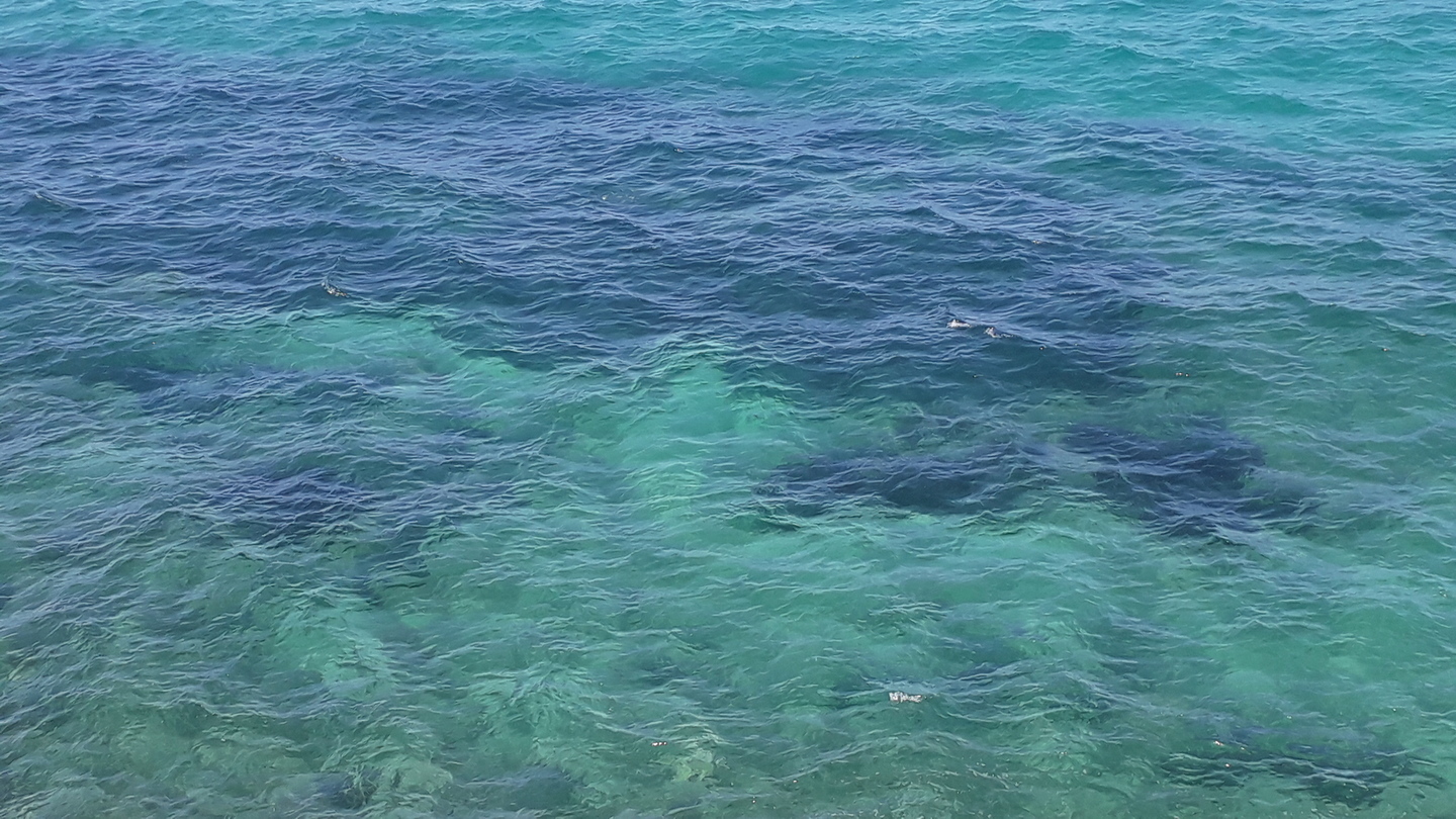 Image 64 : Variations de couleurs de la mer