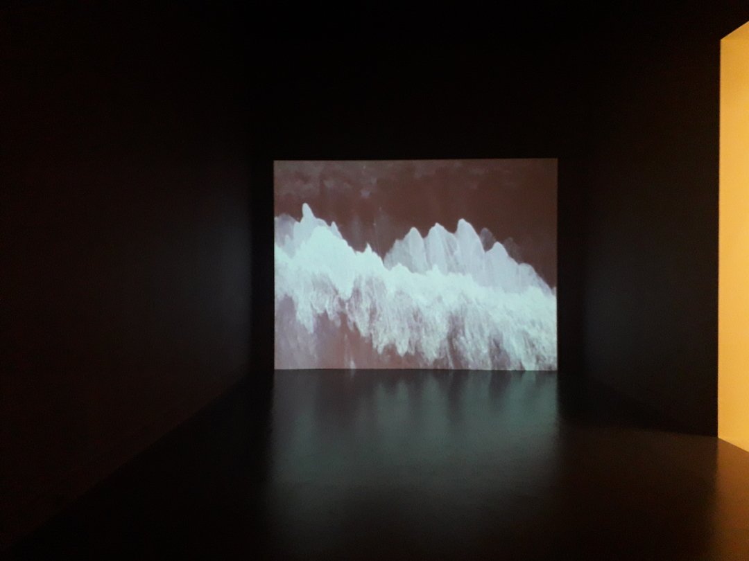 Image 1 : Vidéo en noir et blanc avec des ondes blanches