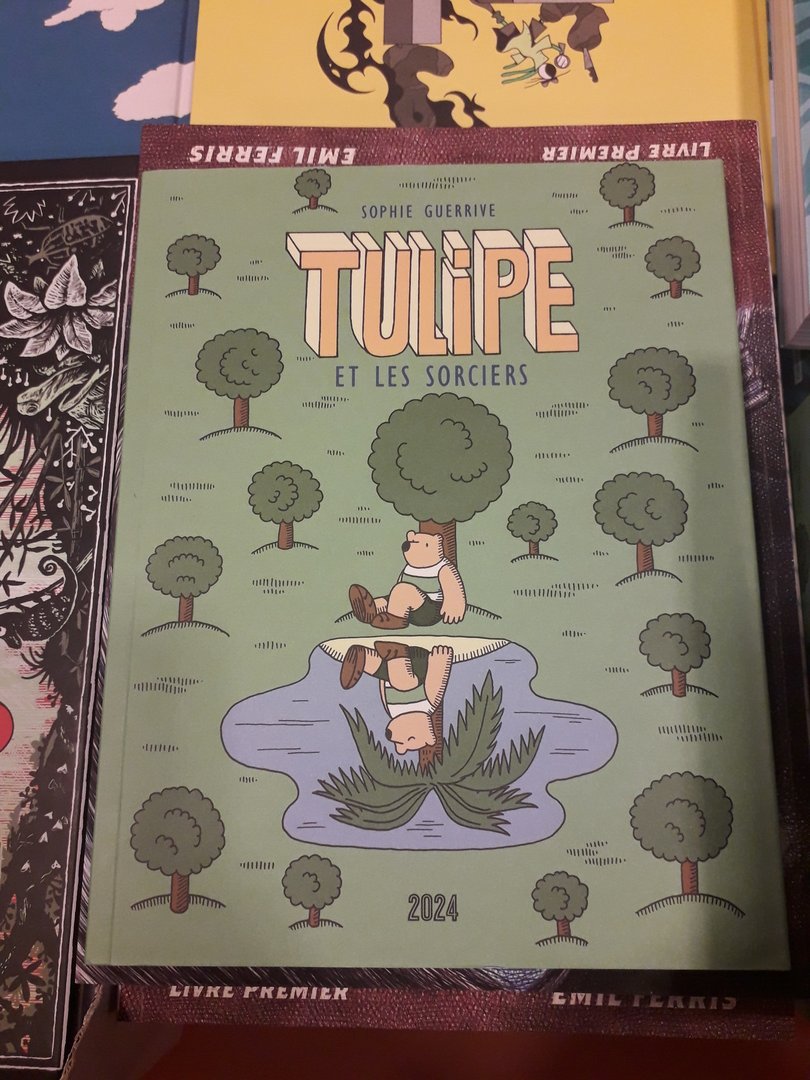 Image 9 : Couverture du livre Tulipe et les sorciers représentant un ours adossé à un arbre dans un bosquet