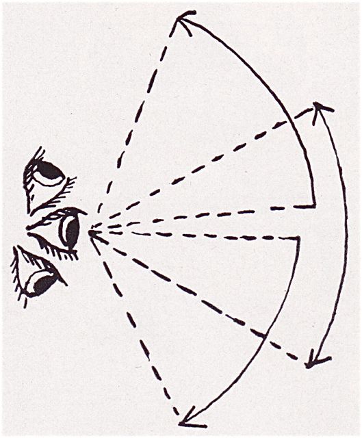 Image 5 : Dessin des cônes de vision d'un œil (haut, face, bas)